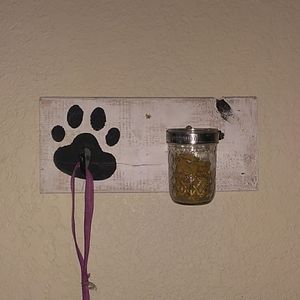 Dog storage